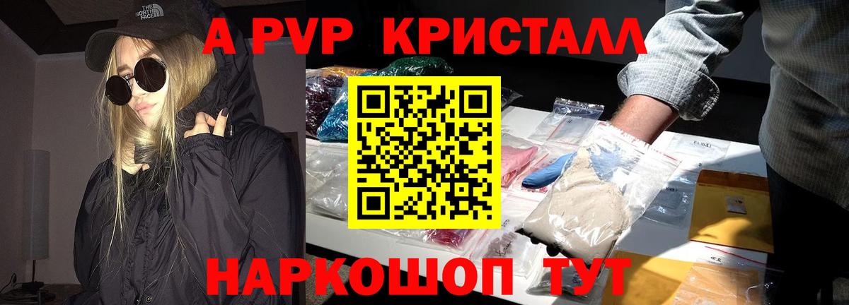 A-PVP СК КРИС Светлоград