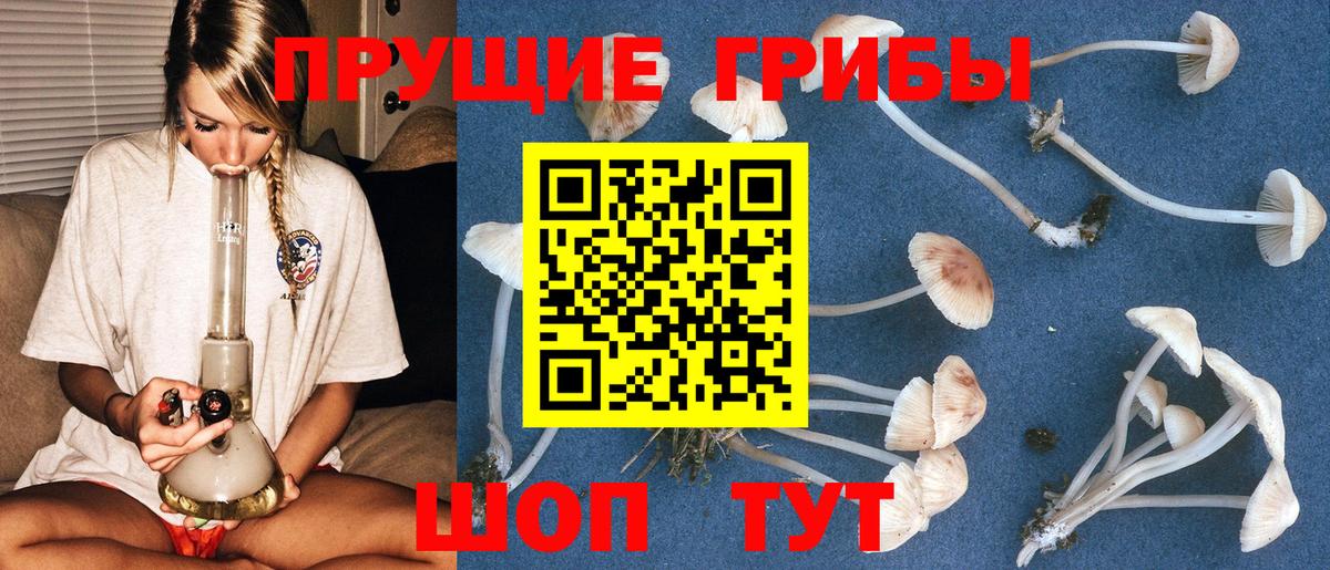 Светлоград  Псилоцибиновые грибы мухоморы  Вход с VPN 